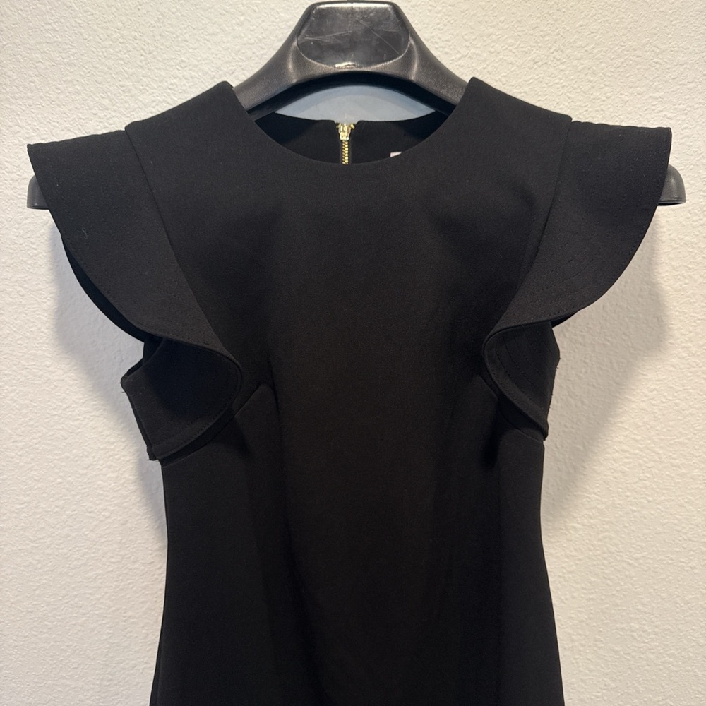 Elegant Black Ruffle Sleeve Dress
